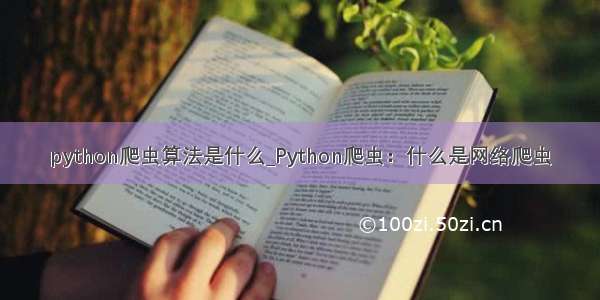 python爬虫算法是什么_Python爬虫：什么是网络爬虫