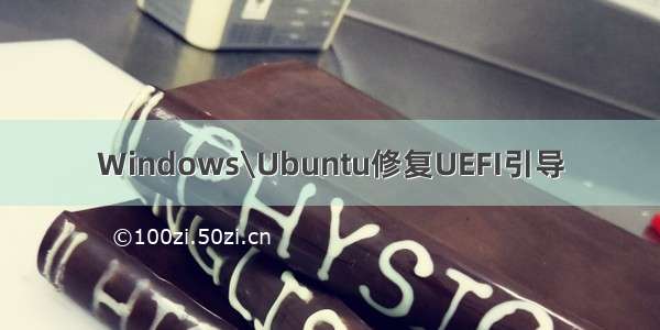 Windows\Ubuntu修复UEFI引导