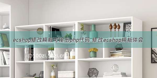 ecshop修改模板可输出php代码 修改ecshop模板体会