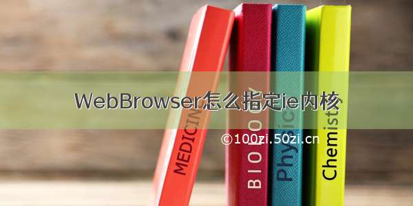 WebBrowser怎么指定ie内核