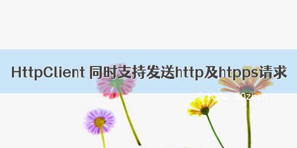 HttpClient 同时支持发送http及htpps请求