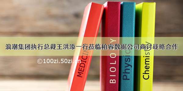 浪潮集团执行总裁王洪添一行莅临柏睿数据公司商讨战略合作