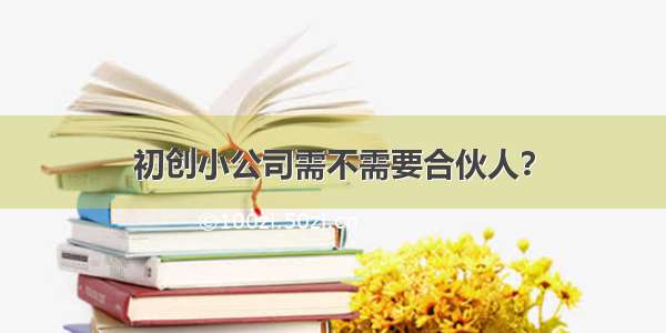 初创小公司需不需要合伙人？