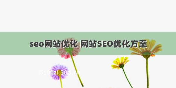 seo网站优化 网站SEO优化方案