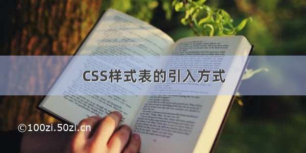 CSS样式表的引入方式