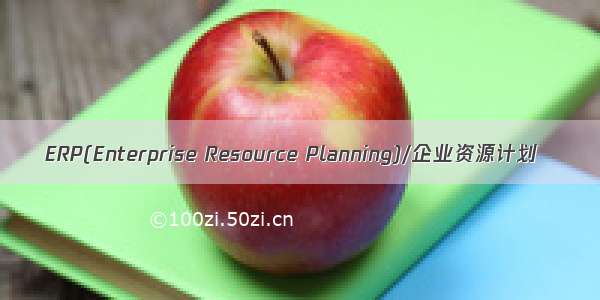 ERP(Enterprise Resource Planning)/企业资源计划