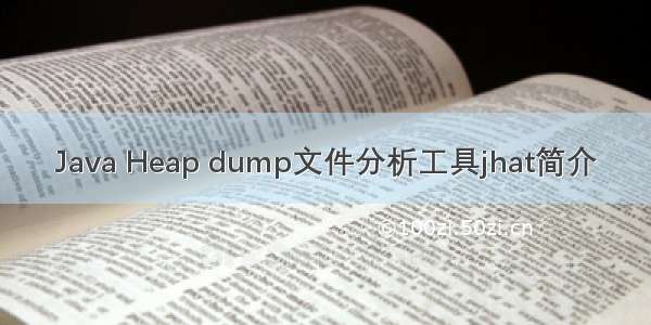 Java Heap dump文件分析工具jhat简介