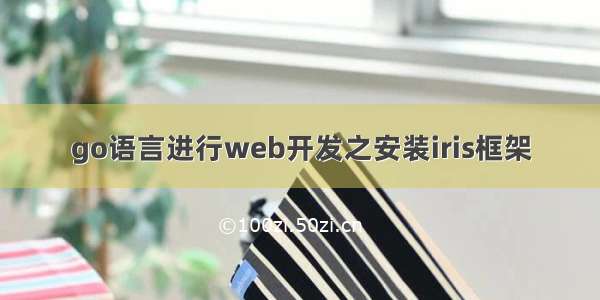 go语言进行web开发之安装iris框架