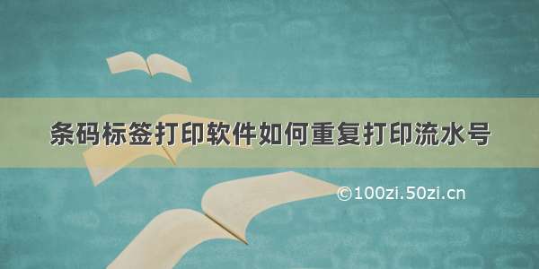 条码标签打印软件如何重复打印流水号