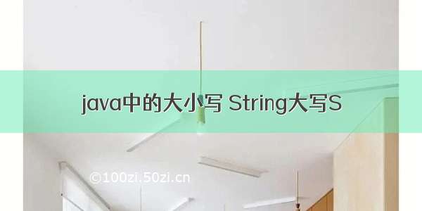 java中的大小写 String大写S