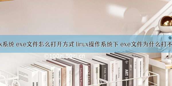 linux系统 exe文件怎么打开方式 linux操作系统下 exe文件为什么打不开？