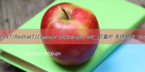 Linux7/Redhat7/Centos7 安装Oracle 12C_配置IP 系统参数_02