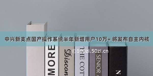 中兴新支点国产操作系统半年新增用户10万+ 将发布自主内核