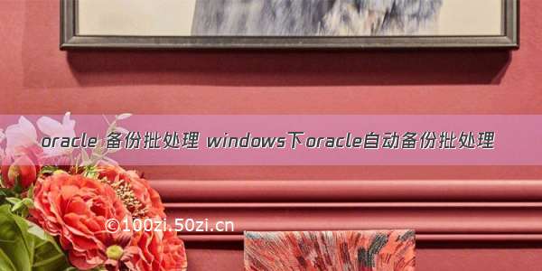 oracle 备份批处理 windows下oracle自动备份批处理