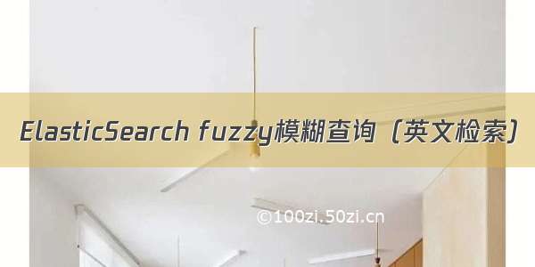 ElasticSearch fuzzy模糊查询（英文检索）