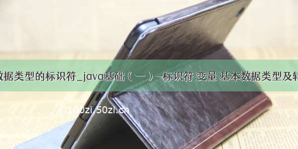java基本数据类型的标识符_java基础（一）-标识符 变量 基本数据类型及转换 运算符