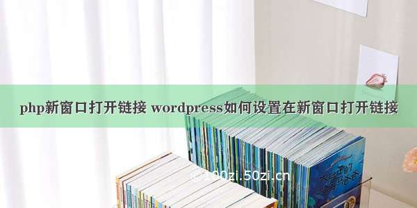 php新窗口打开链接 wordpress如何设置在新窗口打开链接