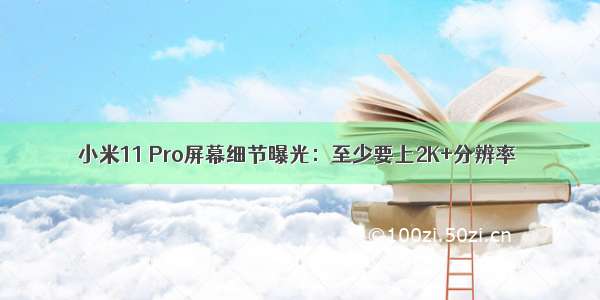 小米11 Pro屏幕细节曝光：至少要上2K+分辨率