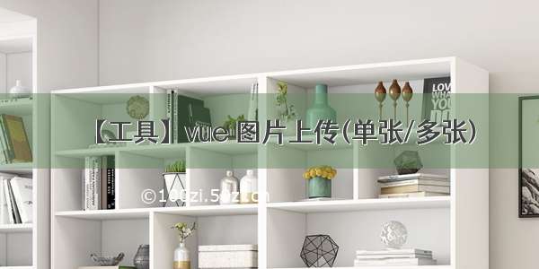 【工具】vue 图片上传(单张/多张)