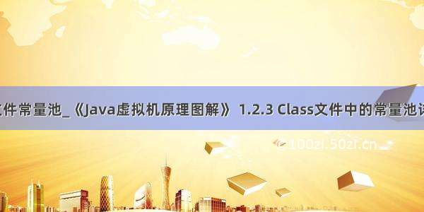 java class文件常量池_《Java虚拟机原理图解》 1.2.3 Class文件中的常量池详解（下）...