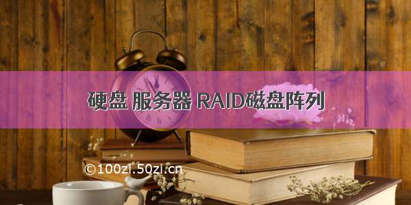 硬盘 服务器 RAID磁盘阵列