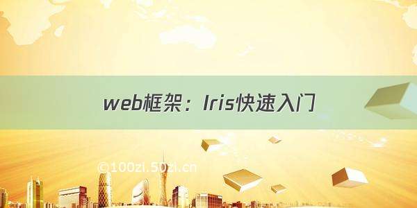 web框架：Iris快速入门