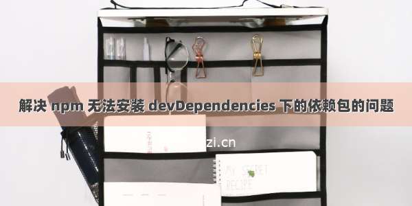 解决 npm 无法安装 devDependencies 下的依赖包的问题