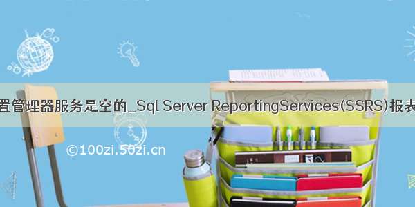 sql配置管理器服务是空的_Sql Server ReportingServices(SSRS)报表配置