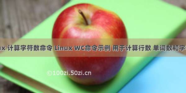 linux 计算字符数命令 Linux WC命令示例 用于计算行数 单词数和字符数