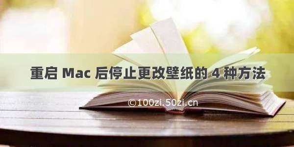 重启 Mac 后停止更改壁纸的 4 种方法