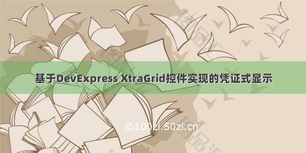 基于DevExpress XtraGrid控件实现的凭证式显示