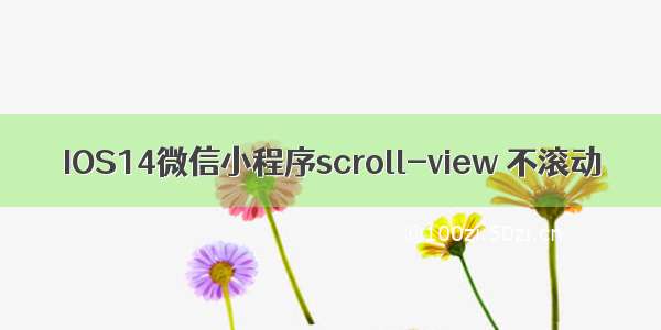 IOS14微信小程序scroll-view 不滚动