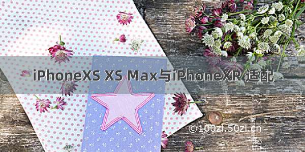 iPhoneXS XS Max与iPhoneXR 适配