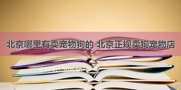 北京哪里有卖宠物狗的 北京正规卖狗宠物店