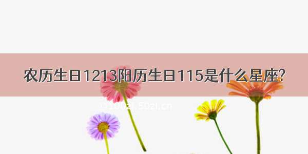 农历生日1213阳历生日115是什么星座?