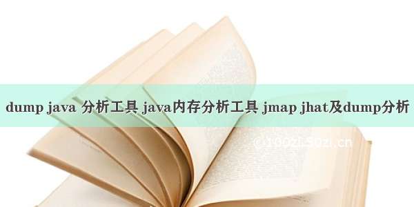dump java 分析工具 java内存分析工具 jmap jhat及dump分析