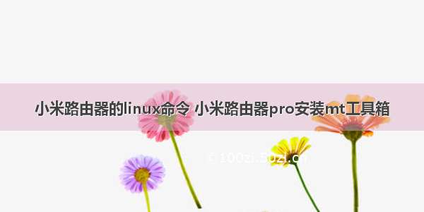 小米路由器的linux命令 小米路由器pro安装mt工具箱