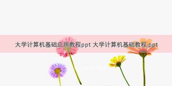 大学计算机基础应用教程ppt 大学计算机基础教程.ppt