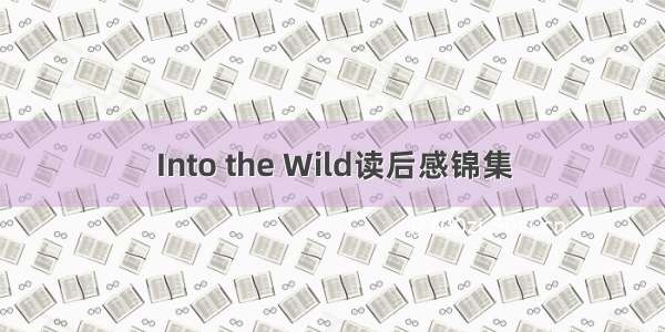 Into the Wild读后感锦集