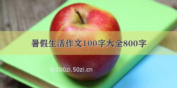 暑假生活作文100字大全800字