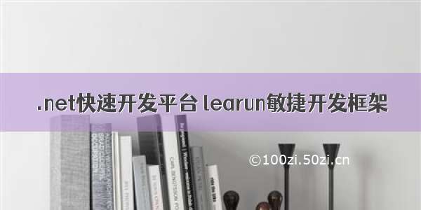 .net快速开发平台 learun敏捷开发框架