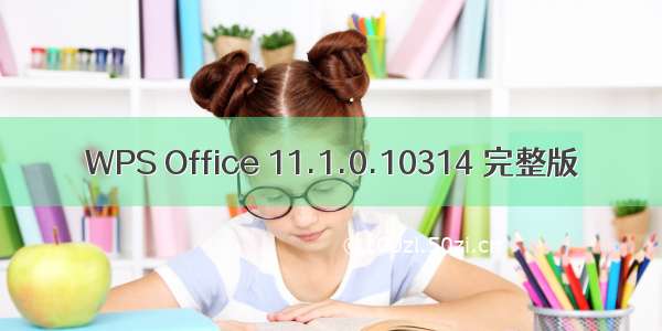 WPS Office 11.1.0.10314 完整版