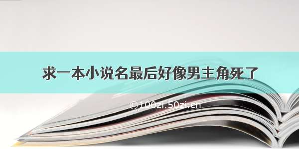 求一本小说名最后好像男主角死了