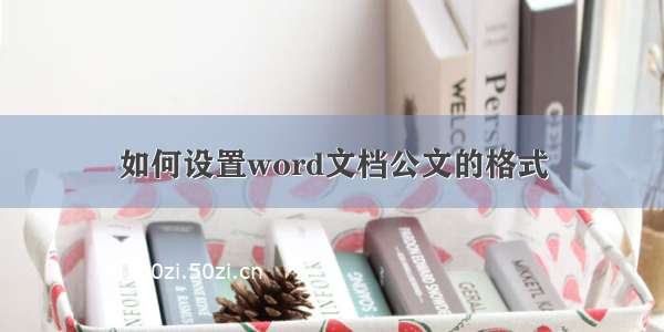 如何设置word文档公文的格式