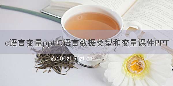 c语言变量ppt C语言数据类型和变量课件PPT