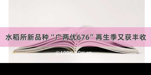 水稻所新品种“广两优676”再生季又获丰收