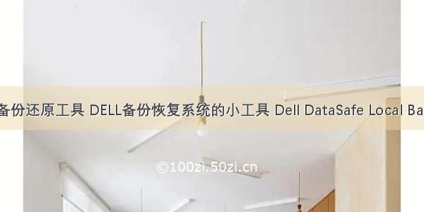 戴尔服务器系统备份还原工具 DELL备份恢复系统的小工具 Dell DataSafe Local Backup[网络技术]...