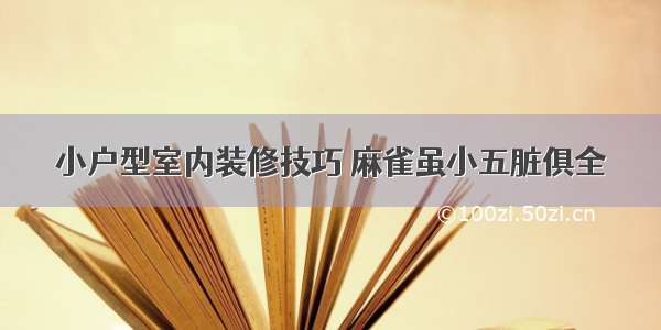 小户型室内装修技巧 麻雀虽小五脏俱全