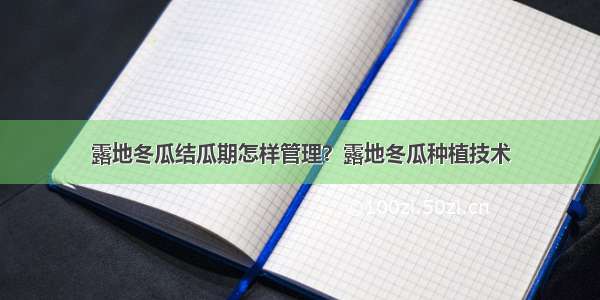 露地冬瓜结瓜期怎样管理？露地冬瓜种植技术