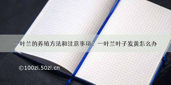 一叶兰的养殖方法和注意事项？一叶兰叶子发黄怎么办